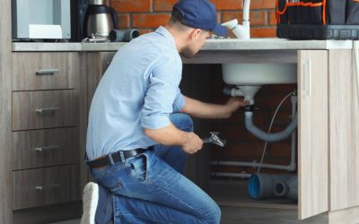 Professional Plumber Near You: Reliable Plumbing Services